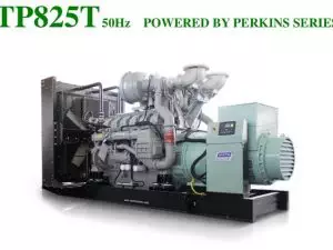 Perkins TP825T 750 KVA Open Series